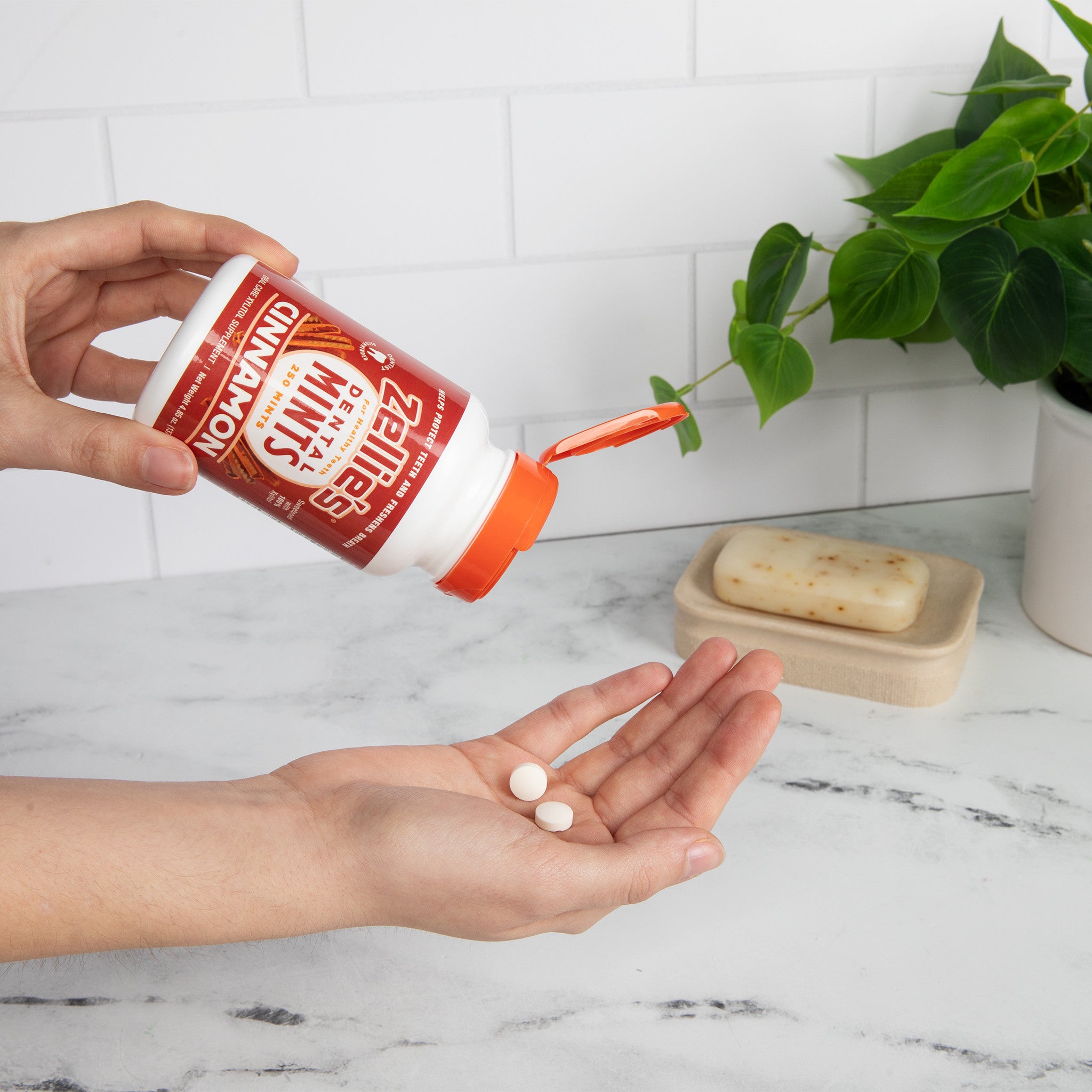 CINNAMON Xylitol Dental Mints - Wholesale