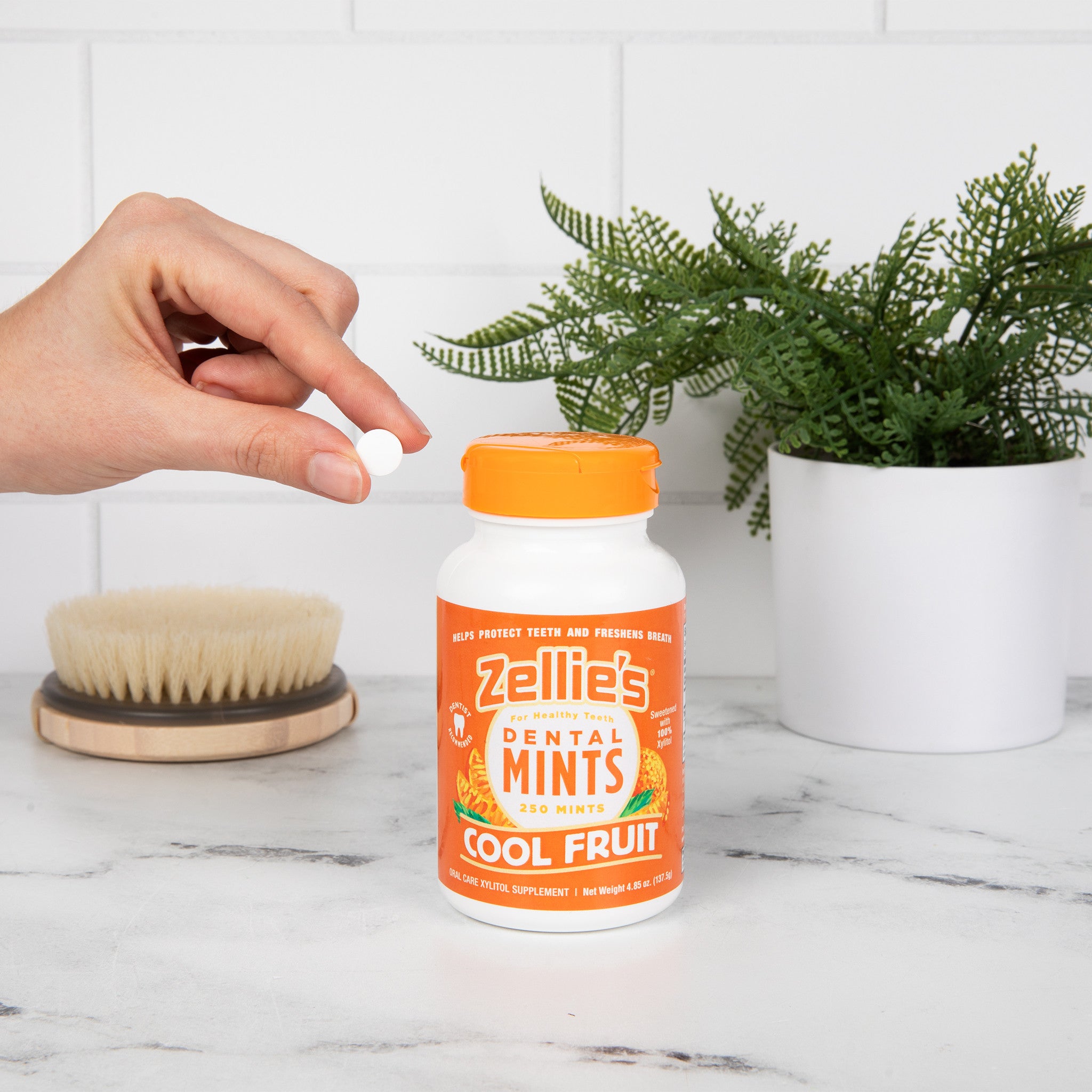 COOL FRUIT Xylitol Dental Mints - Wholesale